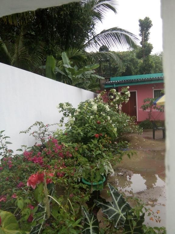 Little Pink House Apartment Mirissa Bagian luar foto