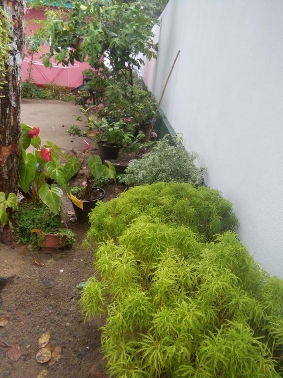 Little Pink House Apartment Mirissa Bagian luar foto